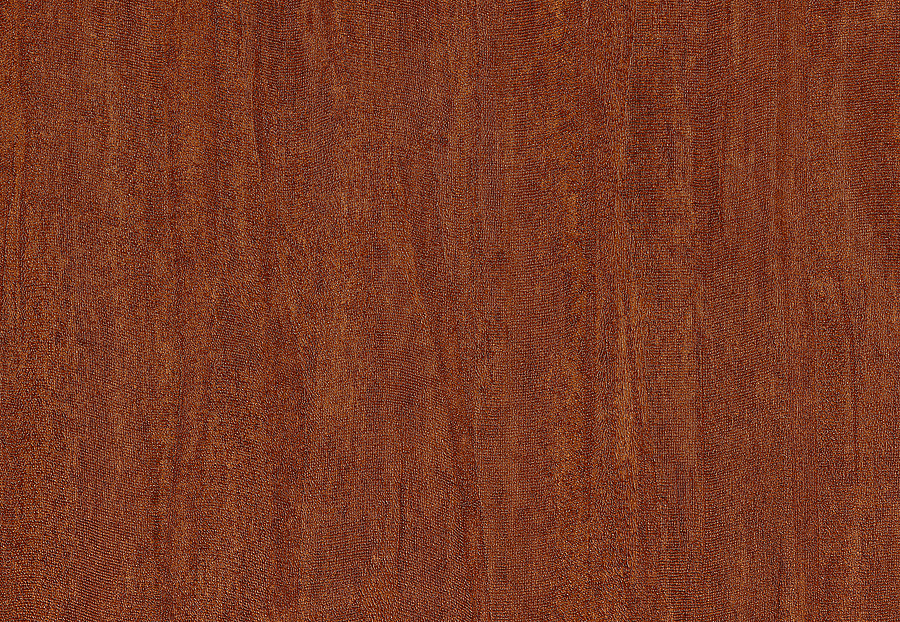 Обои Casamance Estampe 74021963
