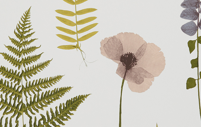 Английские обои Clarke & Clarke, коллекция Botanica, артикул W0091-01