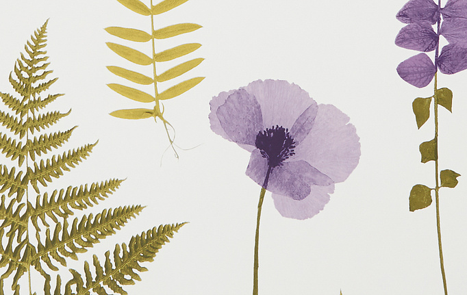 Английские обои Clarke & Clarke, коллекция Botanica, артикул W0091-03