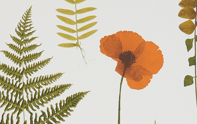 Английские обои Clarke & Clarke, коллекция Botanica, артикул W0091-04