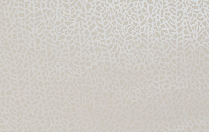 Английские обои Clarke & Clarke, коллекция Botanica, артикул W0093-04