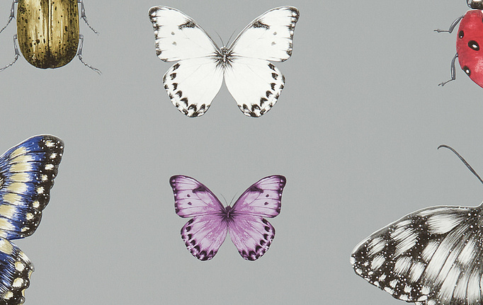 Английские обои Clarke & Clarke, коллекция Botanica, артикул W0094-02