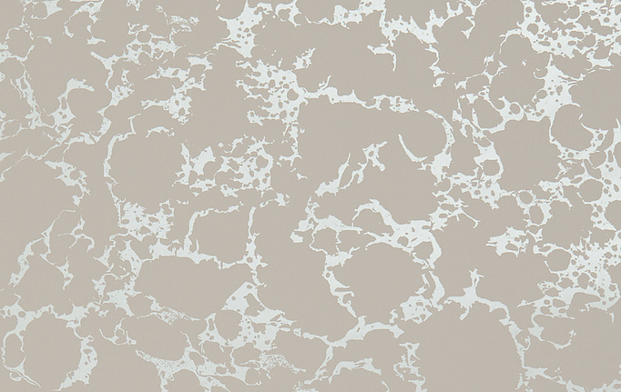 Английские обои Clarke & Clarke, коллекция Botanica, артикул W0096-01