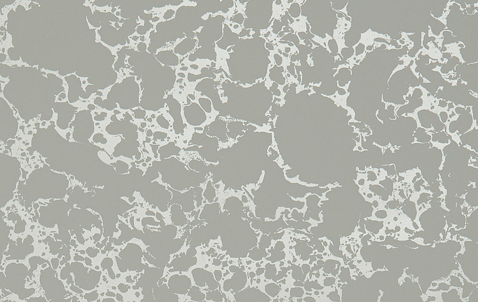 Английские обои Clarke & Clarke, коллекция Botanica, артикул W0096-03