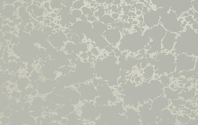 Английские обои Clarke & Clarke, коллекция Botanica, артикул W0096-05