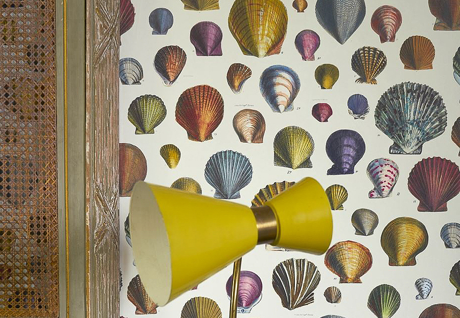 Обои Designers Guild John Derian - Picture Book PJD6000-01