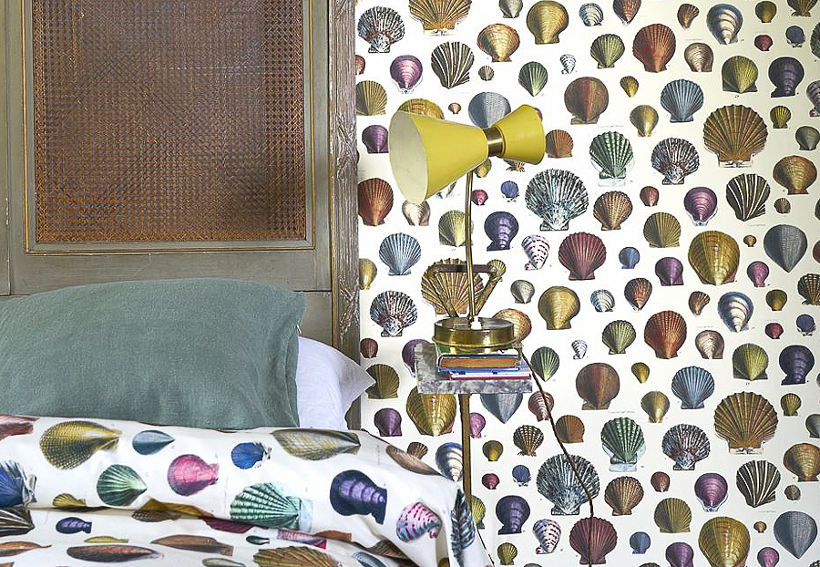 Обои Designers Guild John Derian - Picture Book PJD6000-01