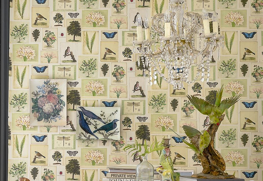 Обои Designers Guild John Derian - Picture Book PJD6001-01