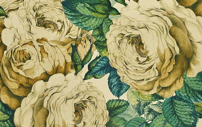 Английские обои Designers Guild, коллекция John Derian - Picture Book, артикул PJD6002-01