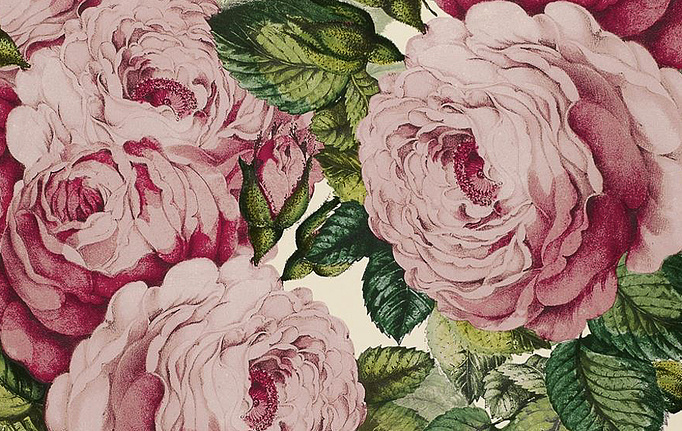 Английские обои Designers Guild, коллекция John Derian - Picture Book, артикул PJD6002-02