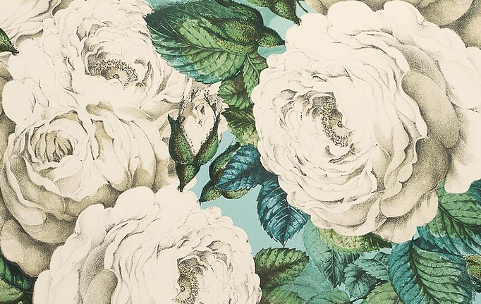 Английские обои Designers Guild, коллекция John Derian - Picture Book, артикул PJD6002-03