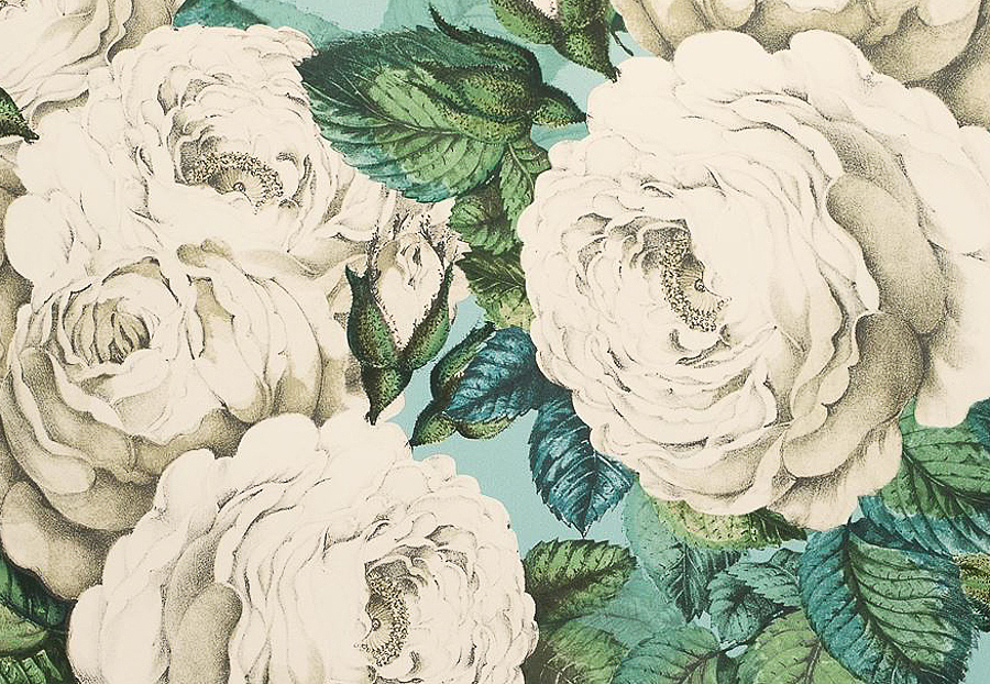 Обои Designers Guild John Derian - Picture Book PJD6002-03
