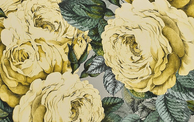 Английские обои Designers Guild, коллекция John Derian - Picture Book, артикул PJD6002-05