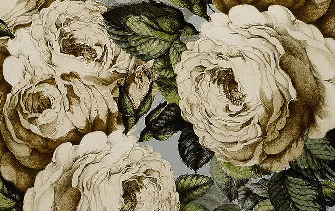 Английские обои Designers Guild, коллекция John Derian - Picture Book, артикул PJD6002-06