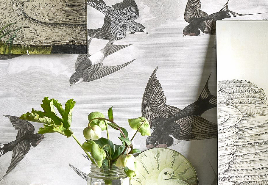 Обои Designers Guild John Derian - Picture Book PJD6003-02