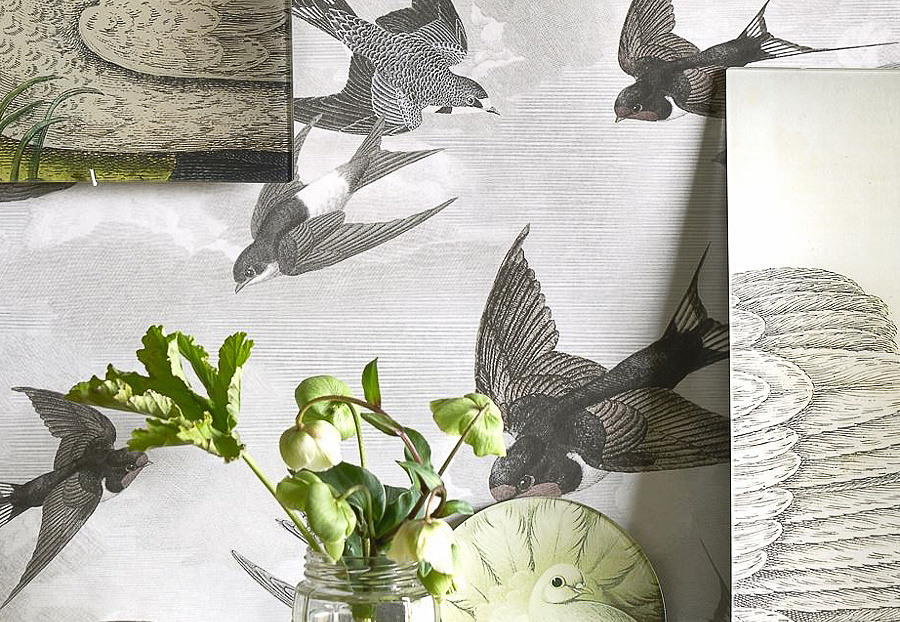 Обои Designers Guild John Derian - Picture Book PJD6003-02