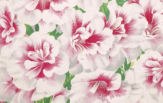 Английские обои Designers Guild, коллекция John Derian - Picture Book, артикул PJD6004-01