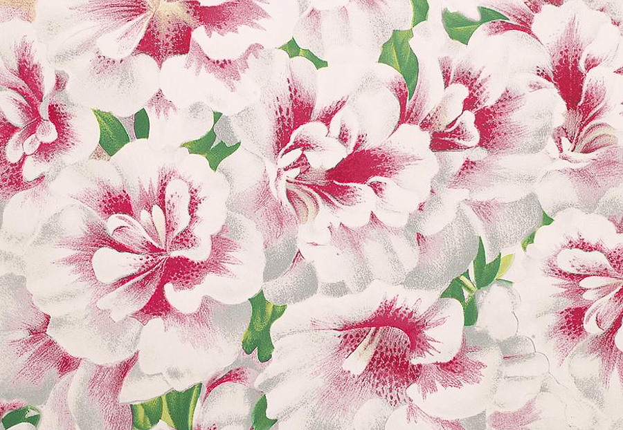 Обои Designers Guild John Derian - Picture Book PJD6004-01