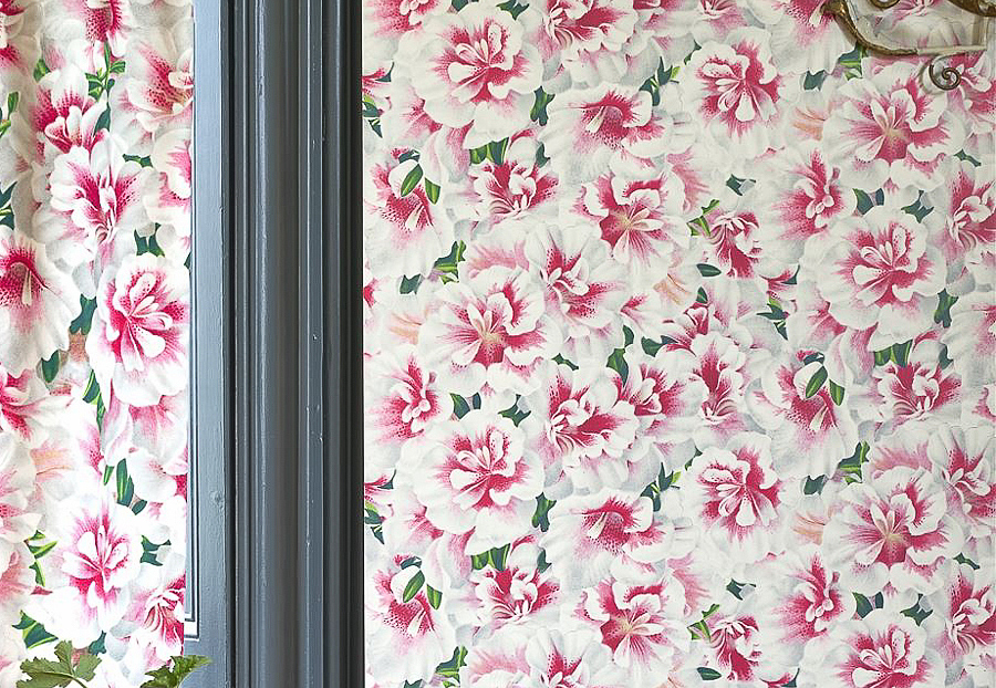 Обои Designers Guild John Derian - Picture Book PJD6004-01
