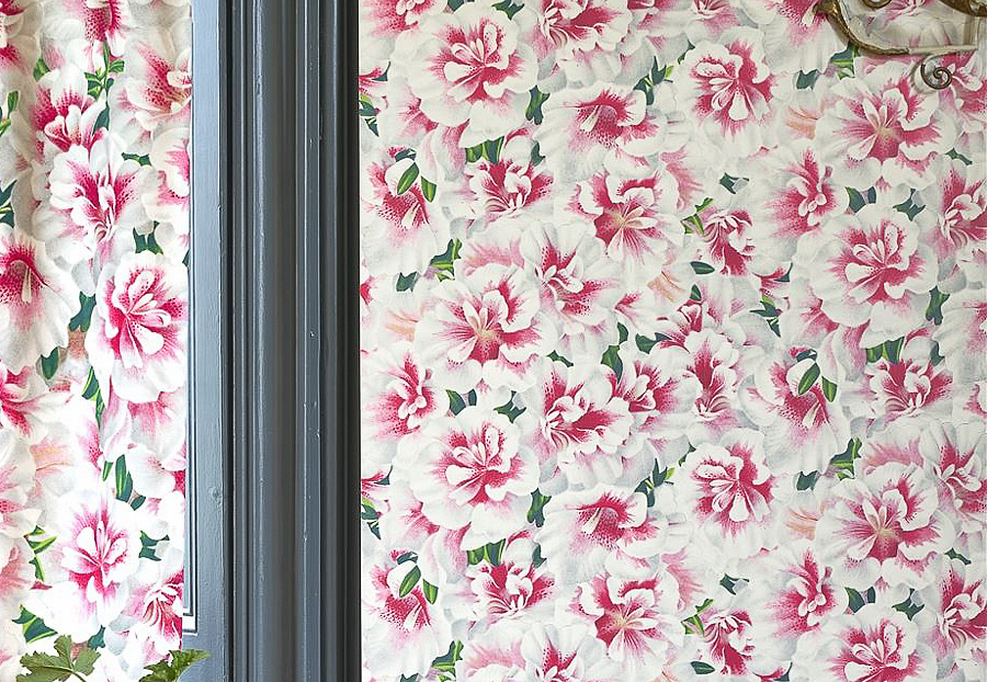 Обои Designers Guild John Derian - Picture Book PJD6004-01