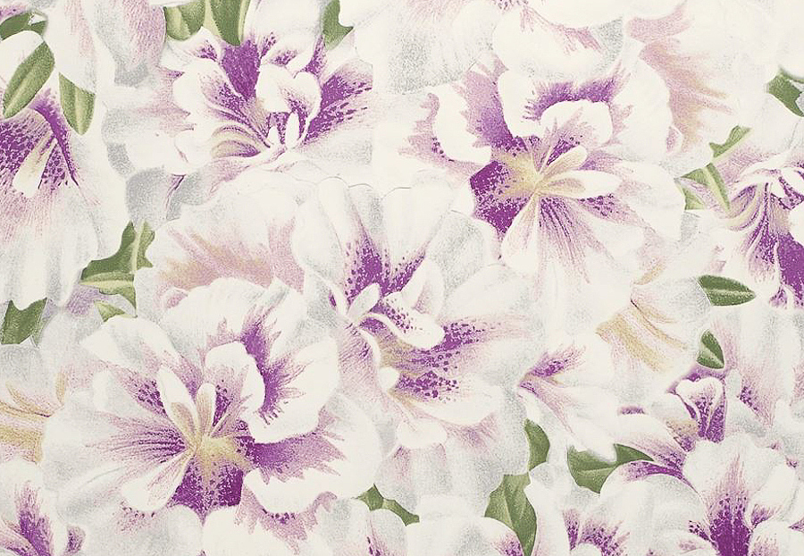 Обои Designers Guild John Derian - Picture Book PJD6004-02