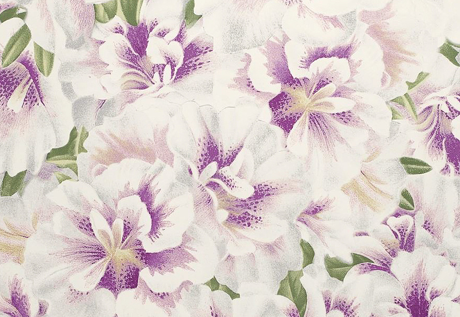 Обои Designers Guild John Derian - Picture Book PJD6004-02