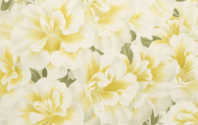 Английские обои Designers Guild, коллекция John Derian - Picture Book, артикул PJD6004-03