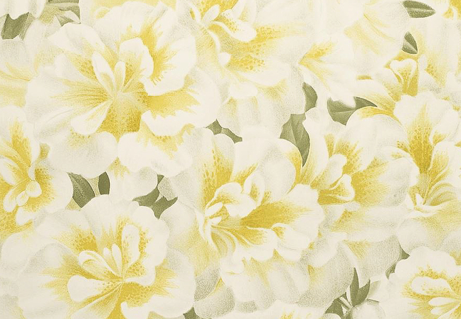 Обои Designers Guild John Derian - Picture Book PJD6004-03