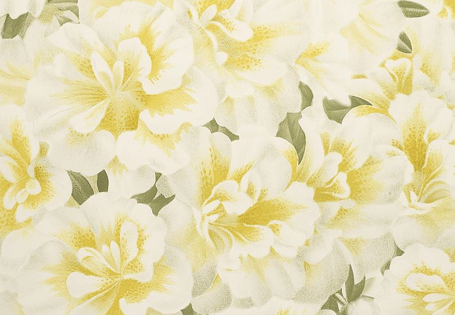 Обои Designers Guild John Derian - Picture Book PJD6004-03