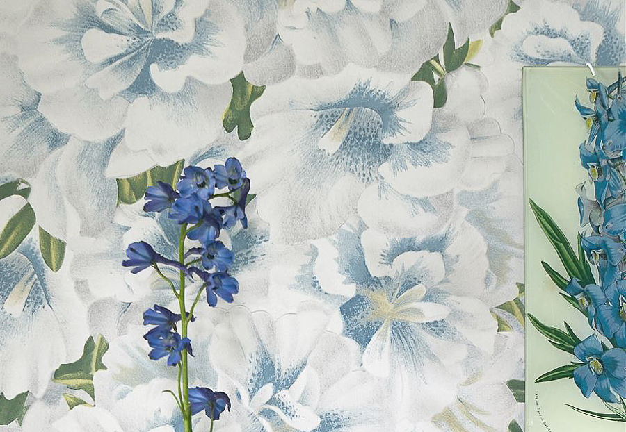 Обои Designers Guild John Derian - Picture Book PJD6004-04