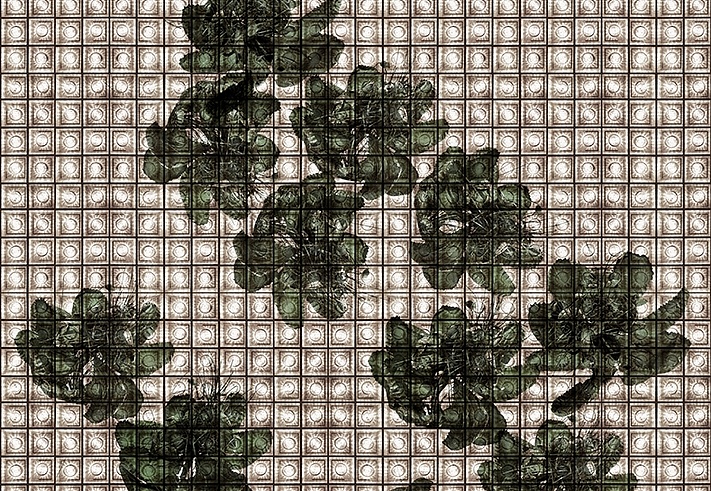 Панно и фотообои Wall & Deco Collection 2018 WDAK1801