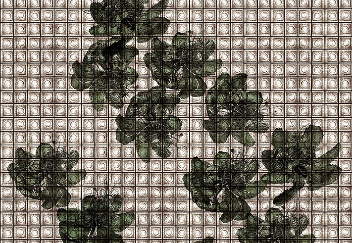 Панно и фотообои Wall & Deco Collection 2018 WDAK1801