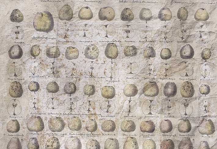 Панно и фотообои Wall & Deco Collection 2018 WDPC1801