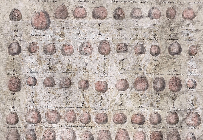 Панно и фотообои Wall & Deco Collection 2018 WDPC1802