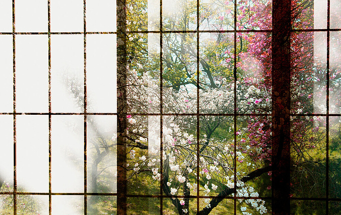 Немецкие панно и фотообои A. S. Creation, коллекция Living Walls - Walls by Patel 2, артикул DD113727