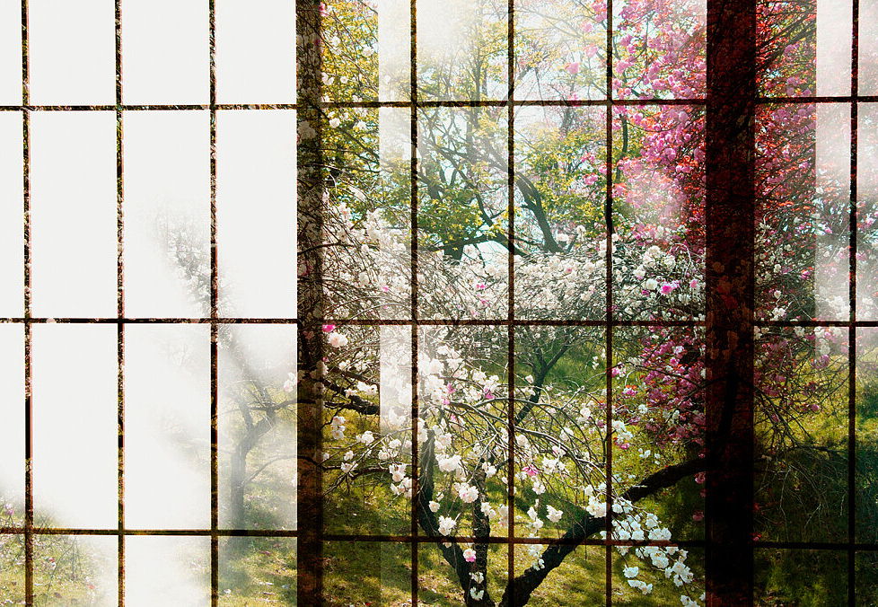 Панно и фотообои A. S. Creation Living Walls - Walls by Patel 2 DD113727