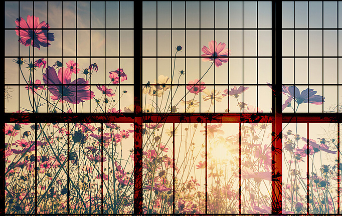Немецкие панно и фотообои A. S. Creation, коллекция Living Walls - Walls by Patel 2, артикул DD113749