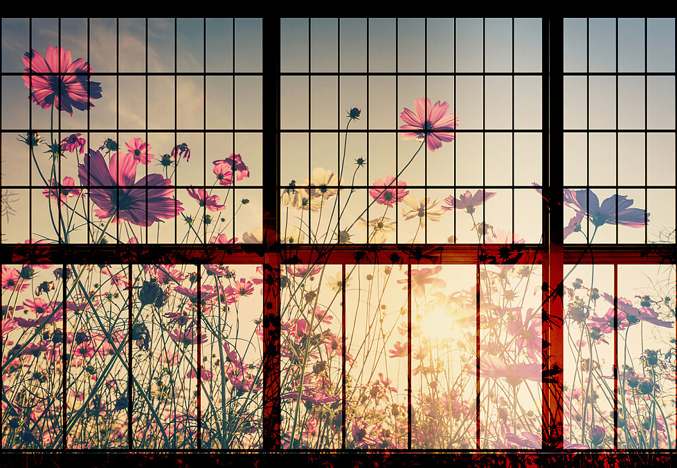 Панно и фотообои A. S. Creation Living Walls - Walls by Patel 2 DD113750