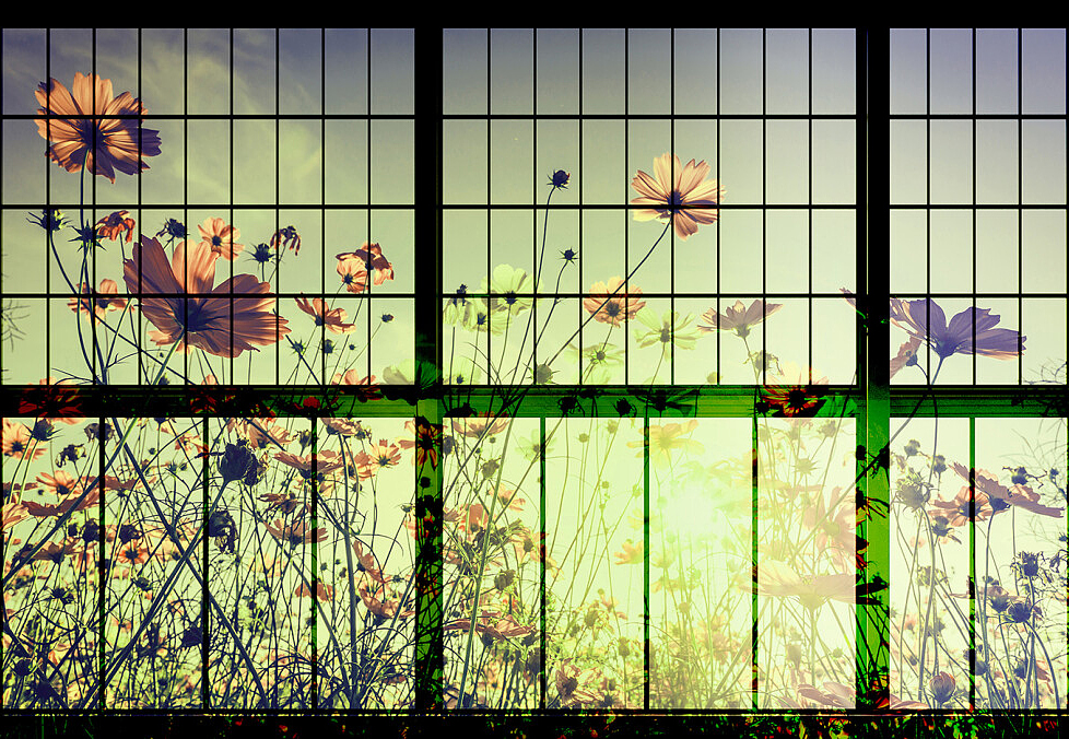 Панно и фотообои A. S. Creation Living Walls - Walls by Patel 2 DD113752
