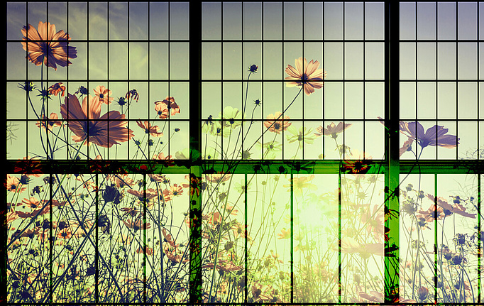 Немецкие панно и фотообои A. S. Creation, коллекция Living Walls - Walls by Patel 2, артикул DD113753