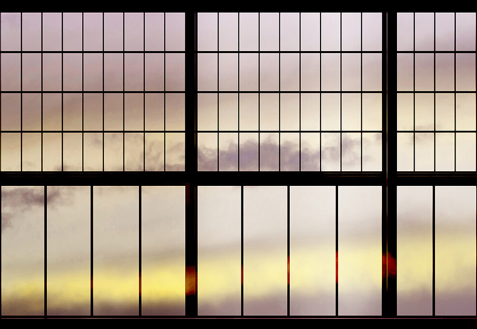 Панно и фотообои A. S. Creation Living Walls - Walls by Patel 2 DD113763