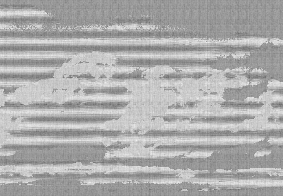 Панно и фотообои A. S. Creation Living Walls - Walls by Patel 2 DD113778