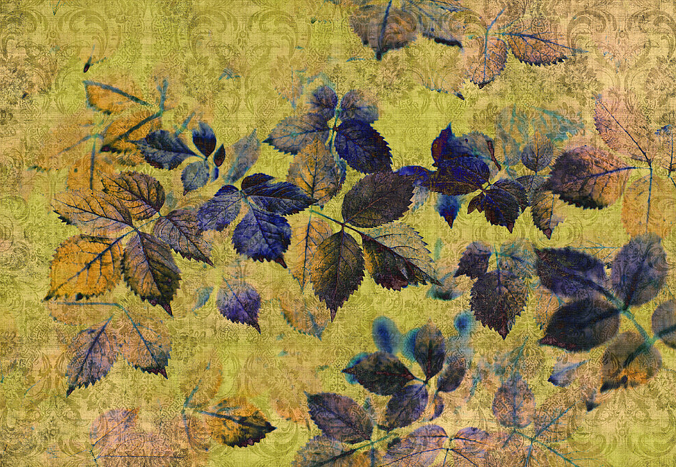 Панно и фотообои A. S. Creation Living Walls - Walls by Patel 2 DD114094