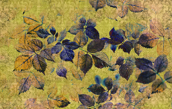 Немецкие панно и фотообои A. S. Creation, коллекция Living Walls - Walls by Patel 2, артикул DD114095