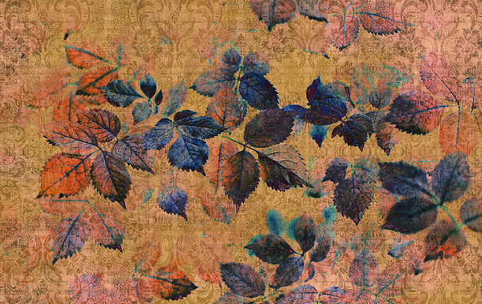 Немецкие панно и фотообои A. S. Creation, коллекция Living Walls - Walls by Patel 2, артикул DD114097