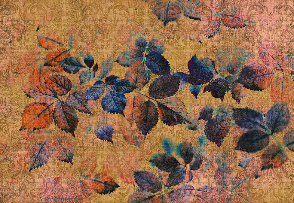 Панно и фотообои A. S. Creation Living Walls - Walls by Patel 2 DD114100