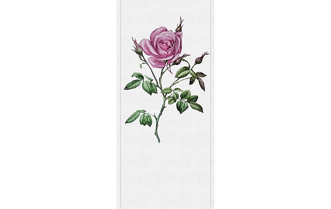Немецкие панно и фотообои A. S. Creation, коллекция Living Walls - Walls by Patel 2, артикул DD114460