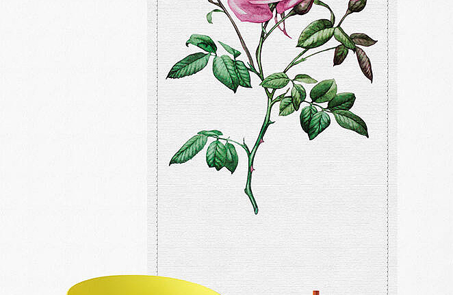 Панно и фотообои A. S. Creation Living Walls - Walls by Patel 2 DD114460