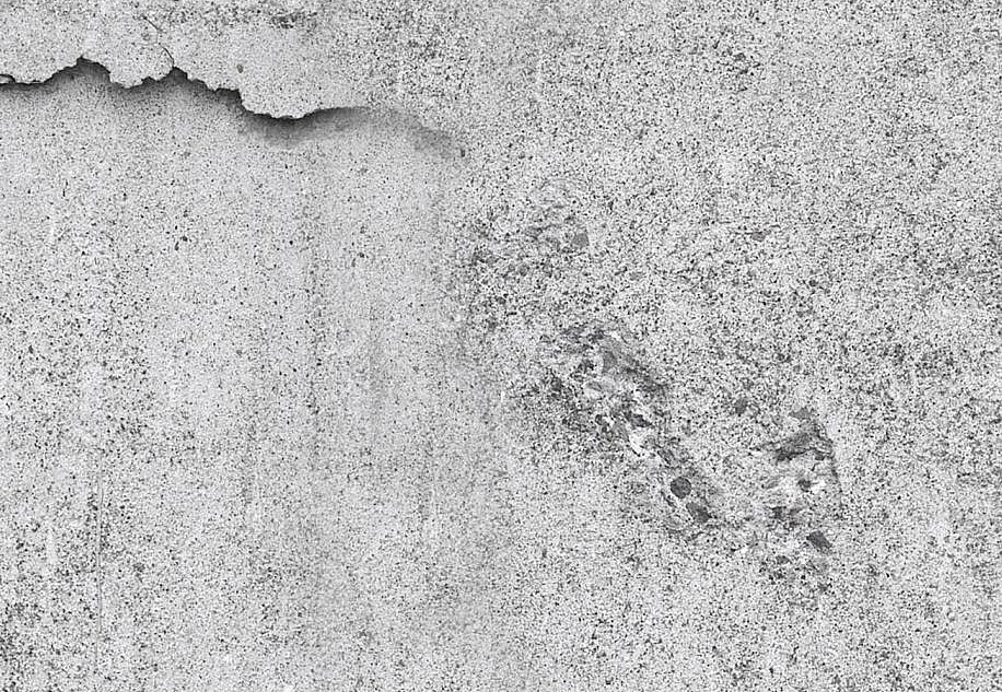 Панно и фотообои Mr Perswall Captured Reality 2 E020401-8