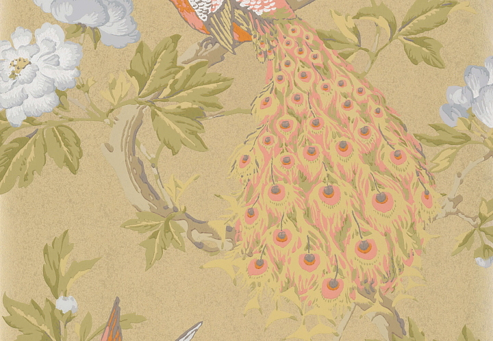 Обои Little Greene National Trust Papers 0245PAGINAZ